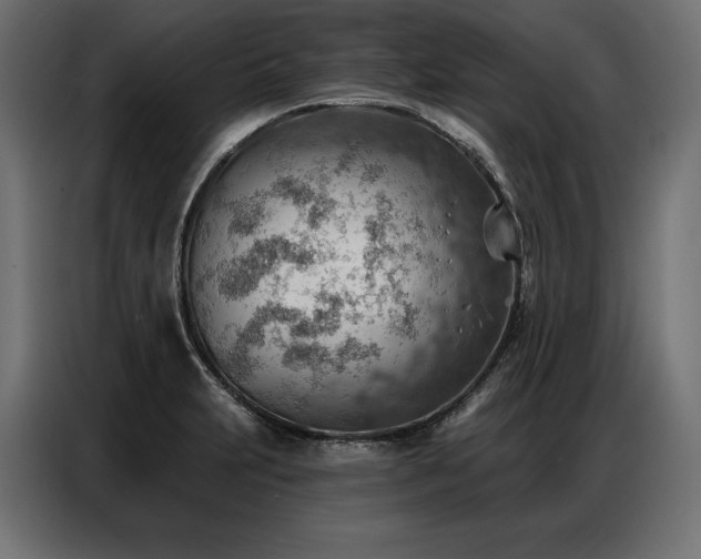 X0000086981231200704161442