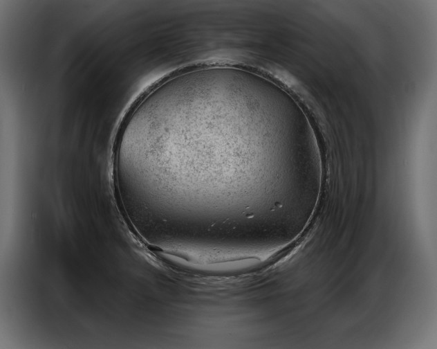 X0000086981232200704161442
