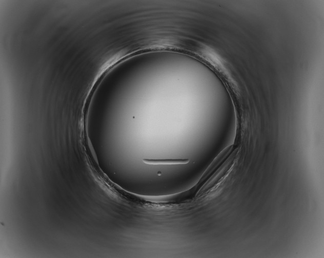 X0000086981234200704161442