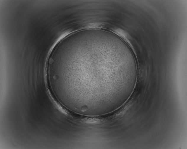X0000086981235200704161442