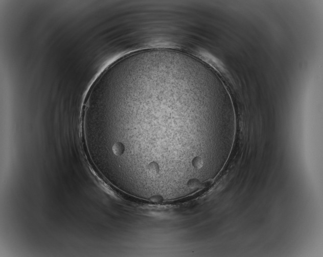 X0000086981236200704161442