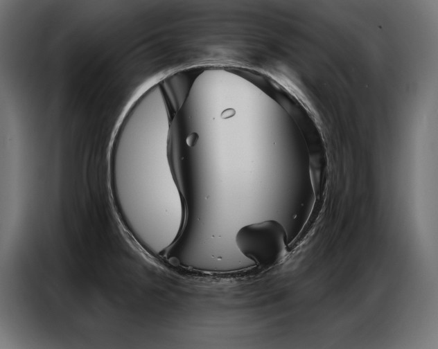 X0000086981238200704161442