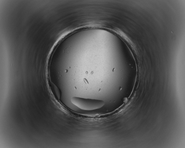 X0000086981240200704161442