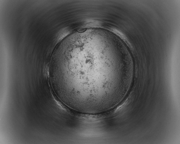 X0000086981241200704161442