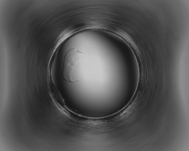 X0000086981242200704161442