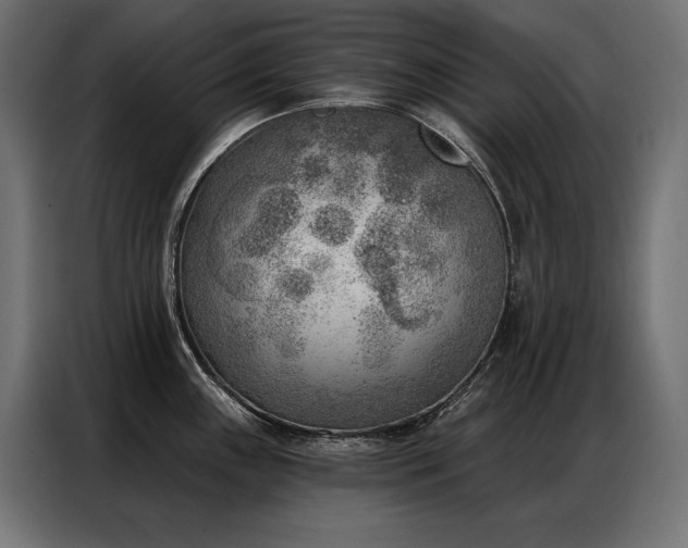 X0000086981243200704161442