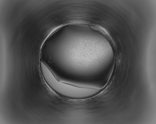 X0000086981244200704161442
