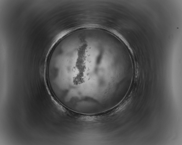 X0000086981245200704161442