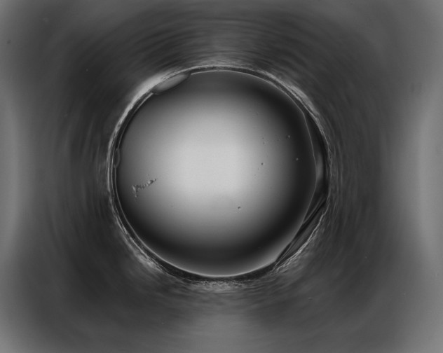 X0000086981246200704161442