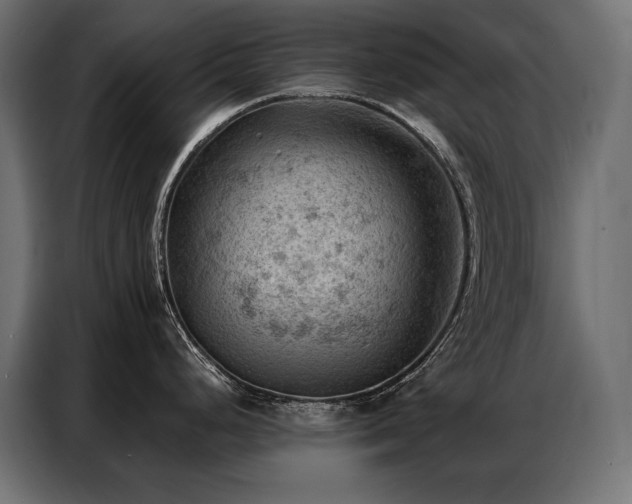X0000086981248200704161442