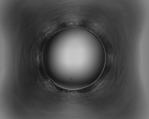 X0000086981250200704161442