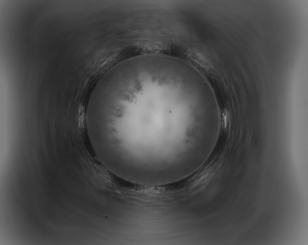 X0000086981251200704161442