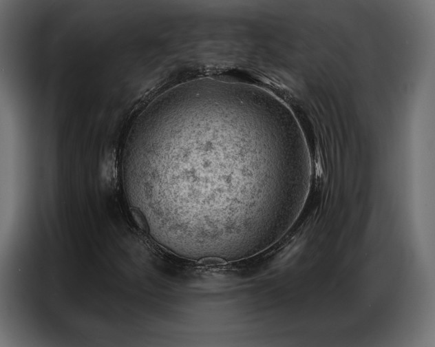 X0000086981252200704161442