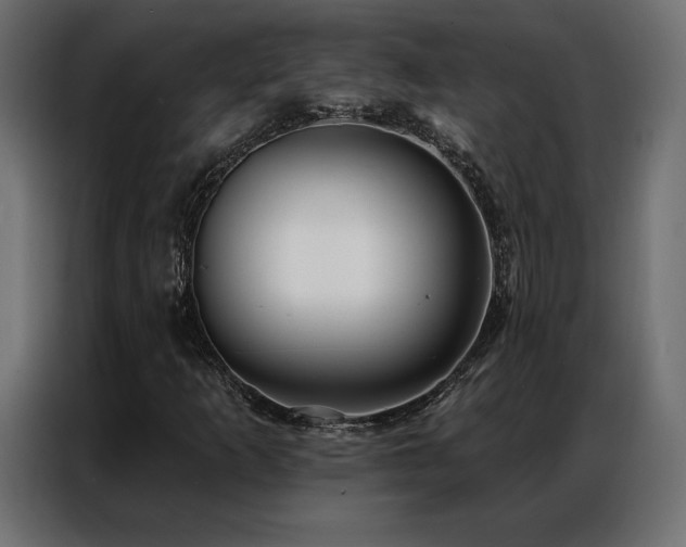 X0000086981253200704161442
