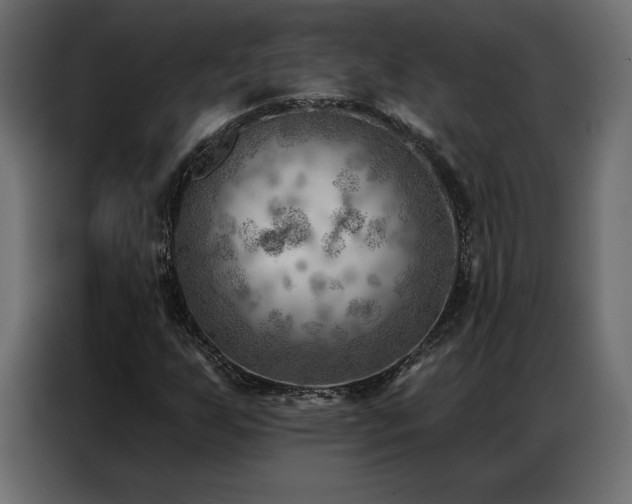 X0000086981255200704161442
