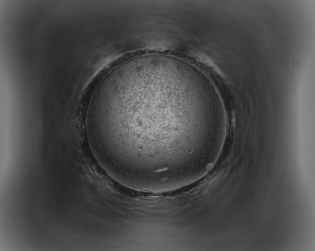 X0000086981256200704161442