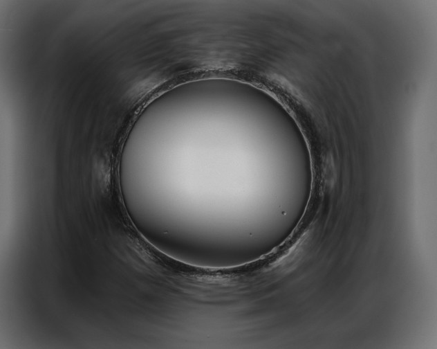X0000086981257200704161442
