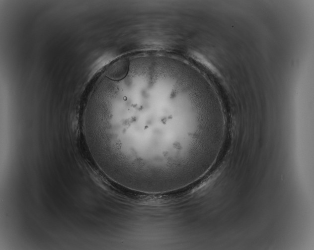 X0000086981259200704161442