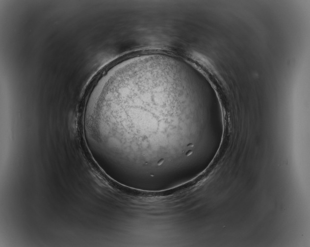 X0000086981260200704161442