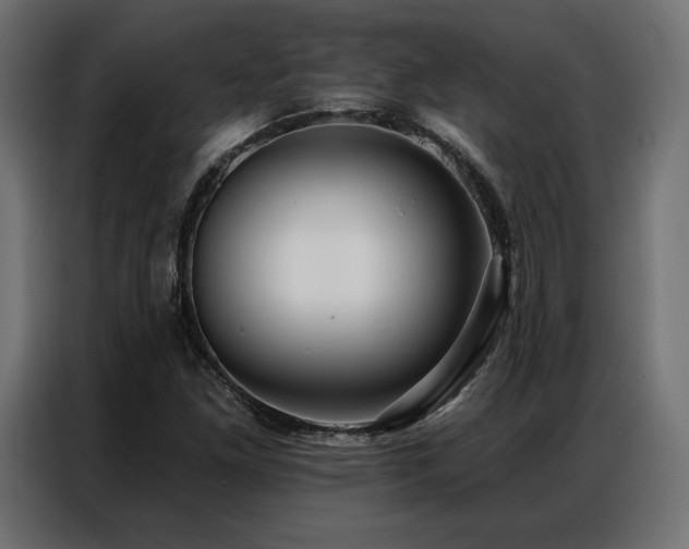 X0000086981261200704161442