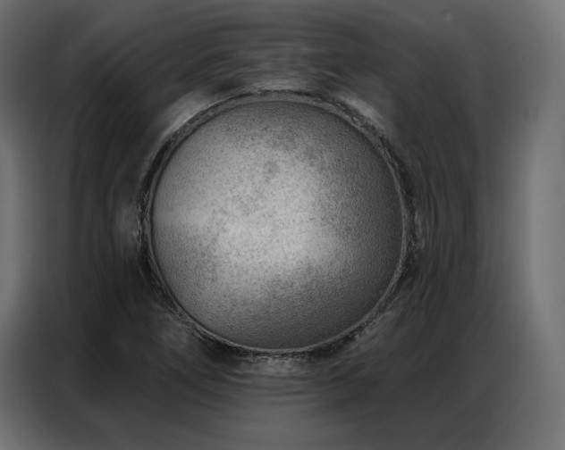 X0000086981266200704161442