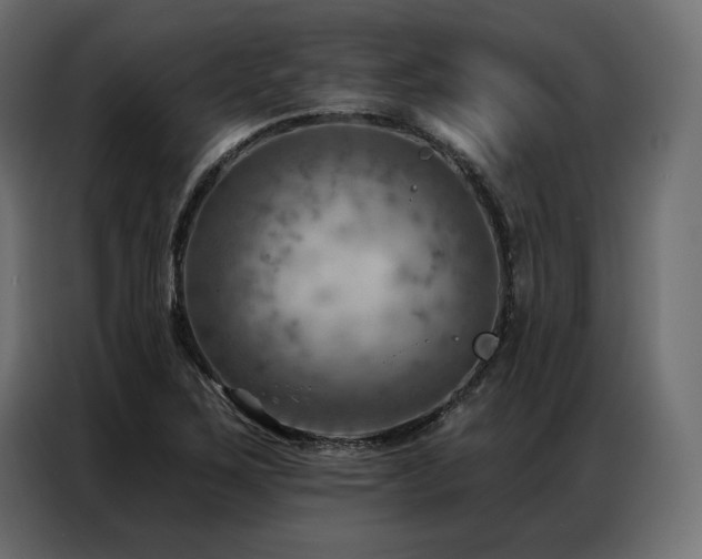 X0000086981267200704161442