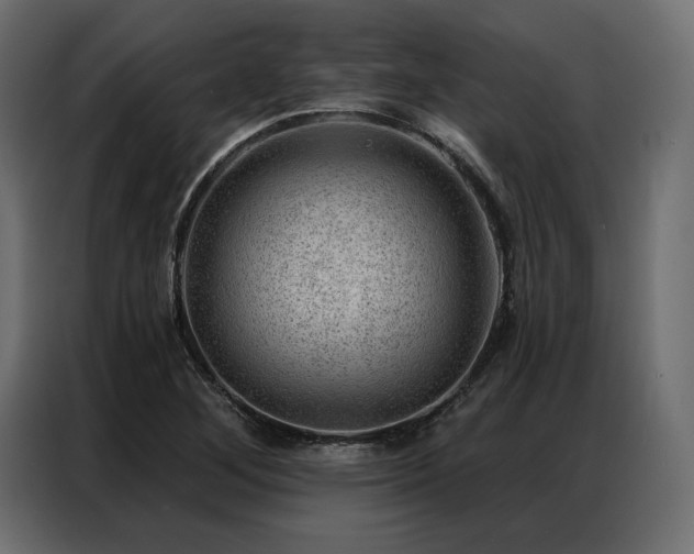 X0000086981268200704161442