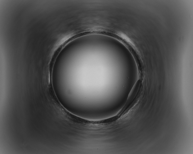 X0000086981269200704161442