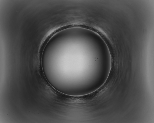 X0000086981270200704161442