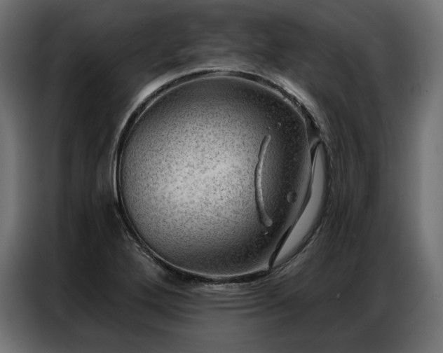 X0000086981272200704161442