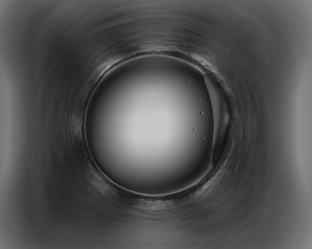 X0000086981273200704161442