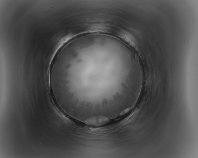 X0000086981275200704161442