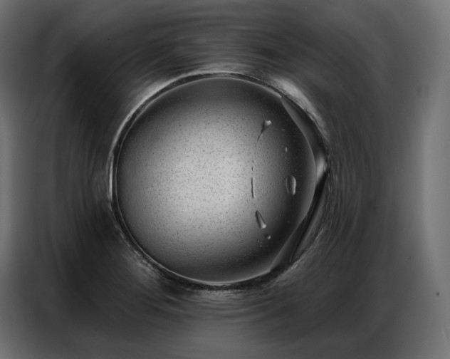 X0000086981276200704161442