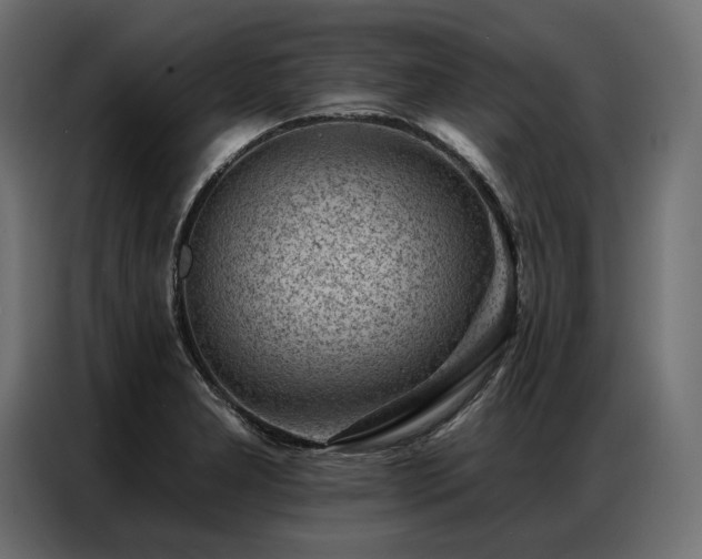 X0000086981277200704161442