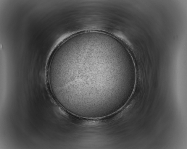 X0000086981278200704161442