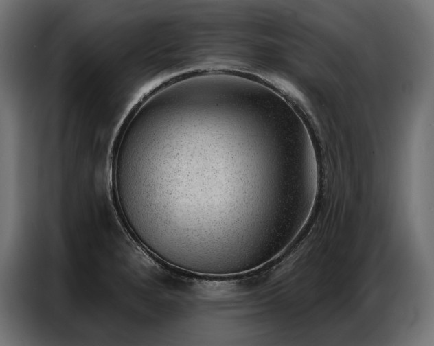 X0000086981280200704161442