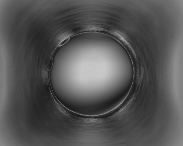 X0000086981281200704161442