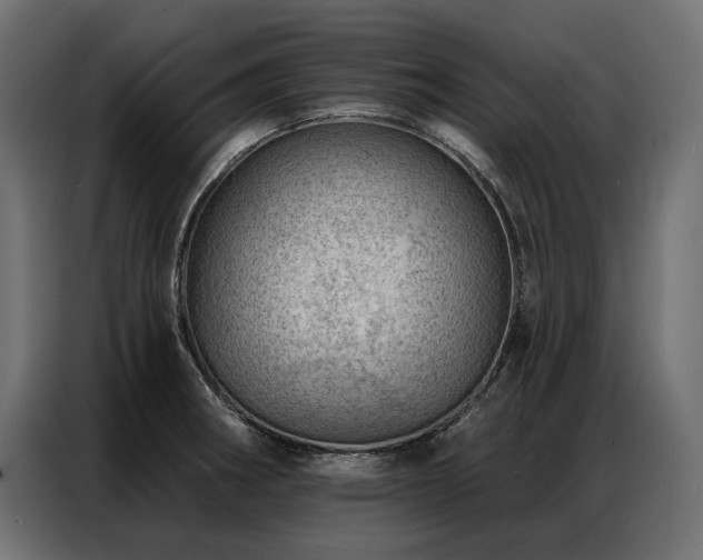 X0000086981282200704161442