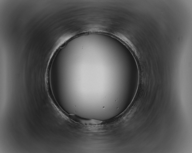 X0000086981285200704161441