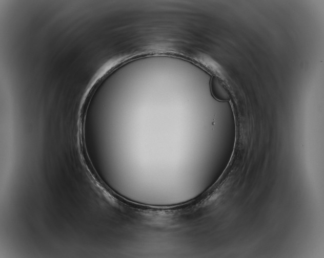 X0000086981286200704161441