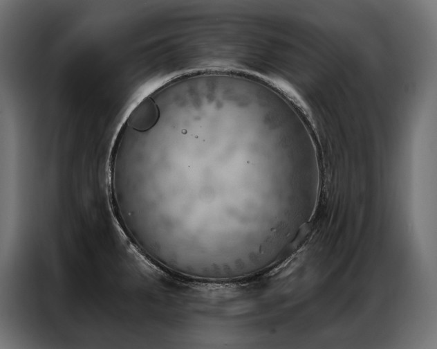 X0000086981287200704161441