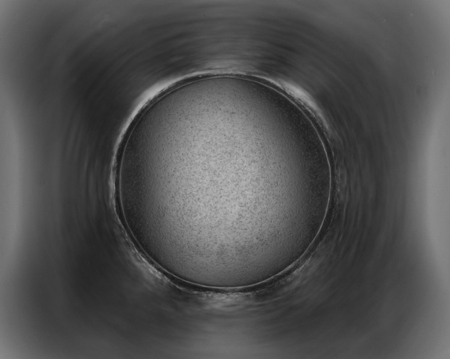 X0000086981288200704161441