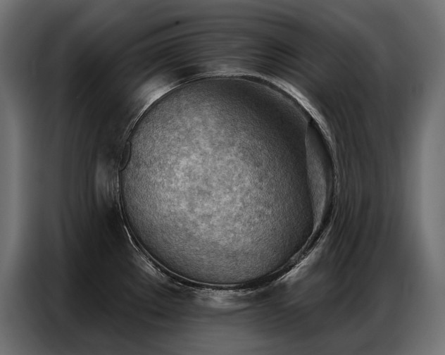 X0000086981289200704161441