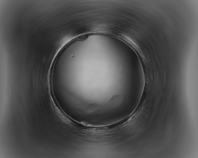 X0000086981291200704161441