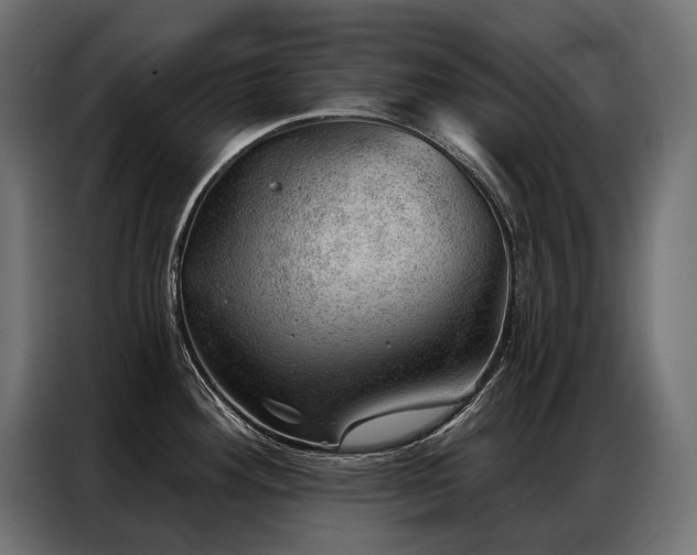 X0000086981292200704161441