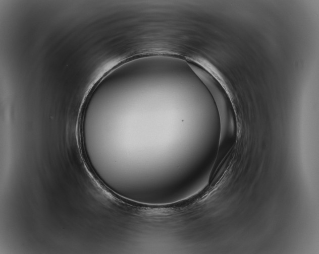 X0000086981293200704161441
