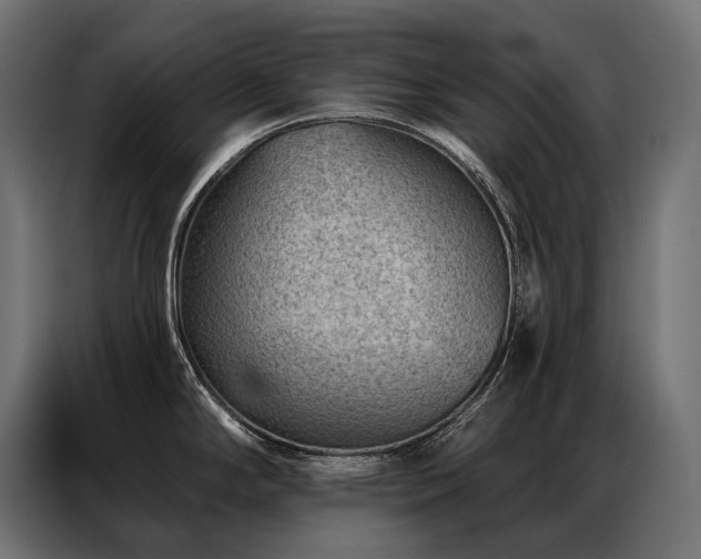 X0000086981294200704161441