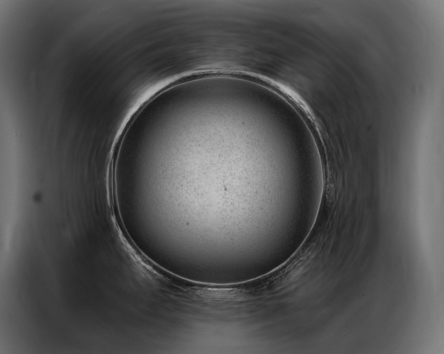 X0000086981295200704161441