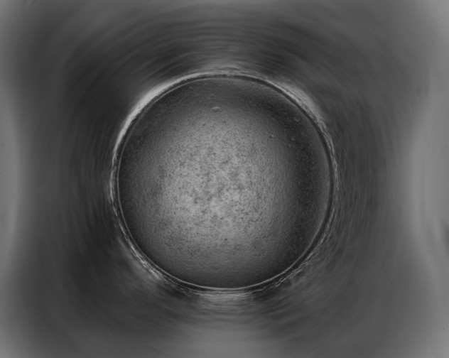 X0000086981296200704161441