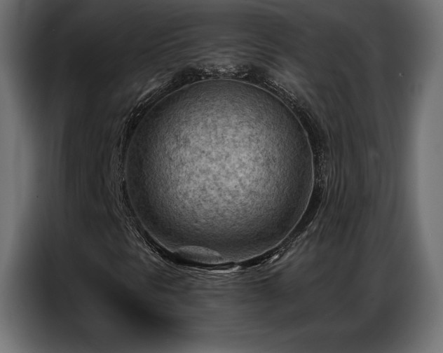 X0000086981297200704161441